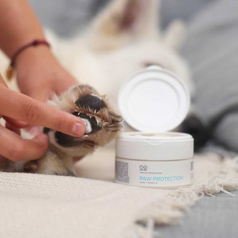 VetExpert Paw Protection - Pielęgnacja dla psów i kotów - 75ml VetExpert Paw Protection - Pielęgnacja dla psów i kotów - 75ml