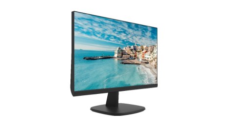 Monitor Hikvision DS-D5024FN/EU